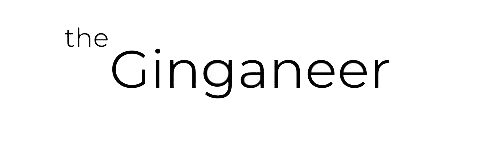 ginganeer.com